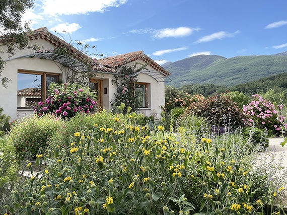 Rosales entre vivaces  y gramíneas